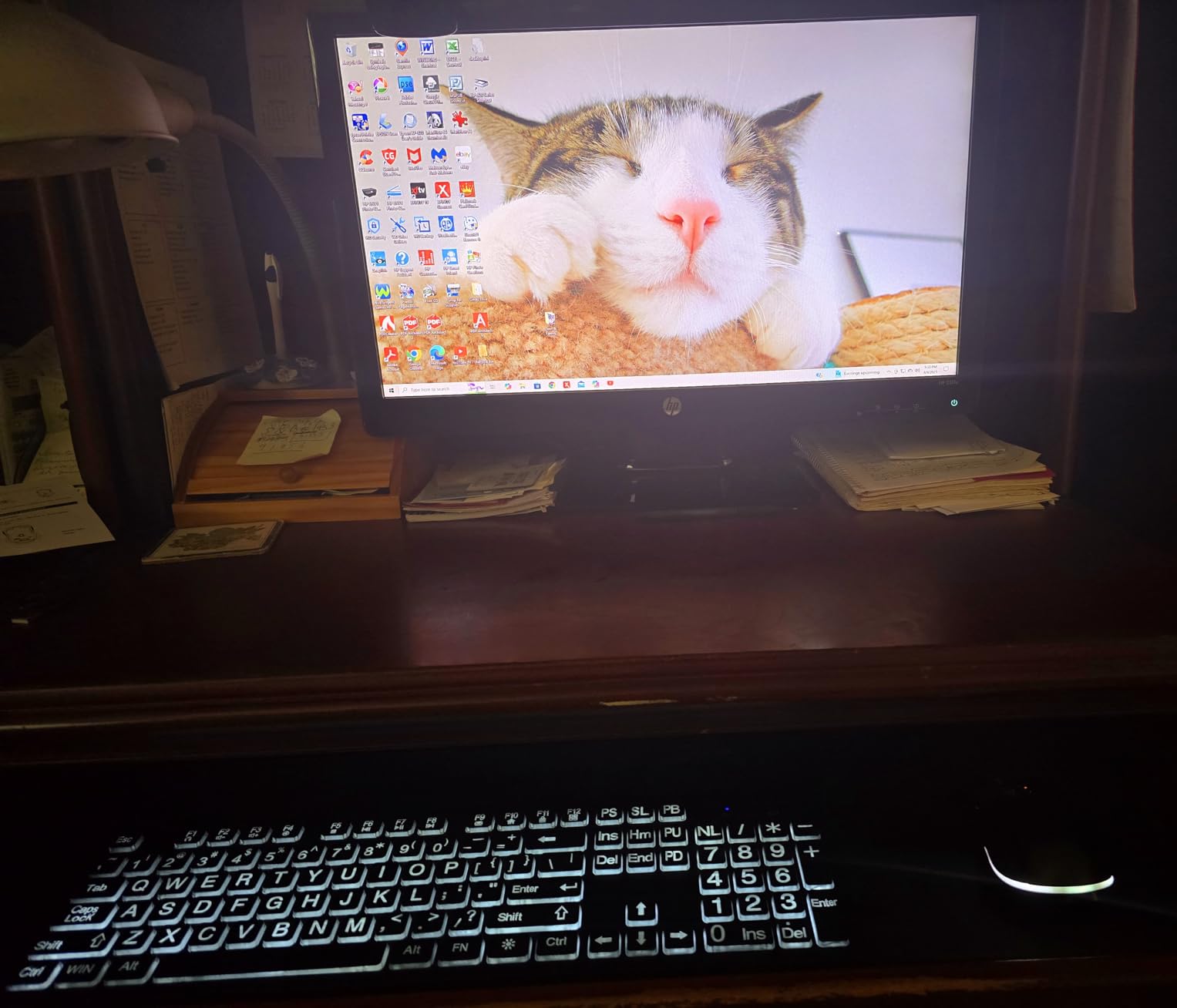 Large Print Backlit Wireless Keyboard and Mouse, 2.4G Full Size Keyboard and Mouse Combo with Big Letters and Backlight Key, Easy to See Big Letters, Light Up Keyboard for Windows, PC, Laptop, Desktop customer photo 1