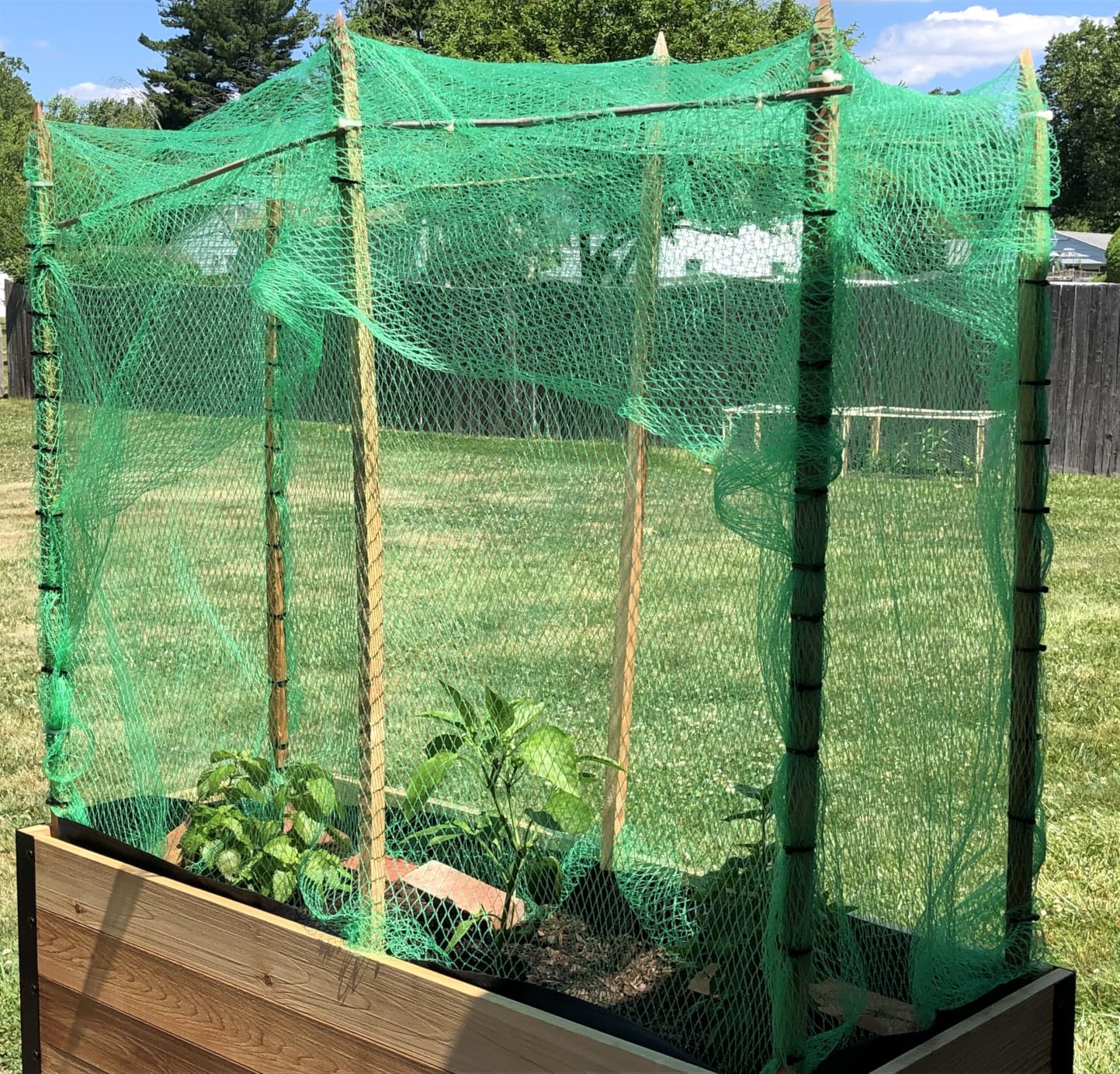 AlpineReach Garden Netting 7.5 x 100 ft, Black Heavy Duty Bird Net customer photo 2