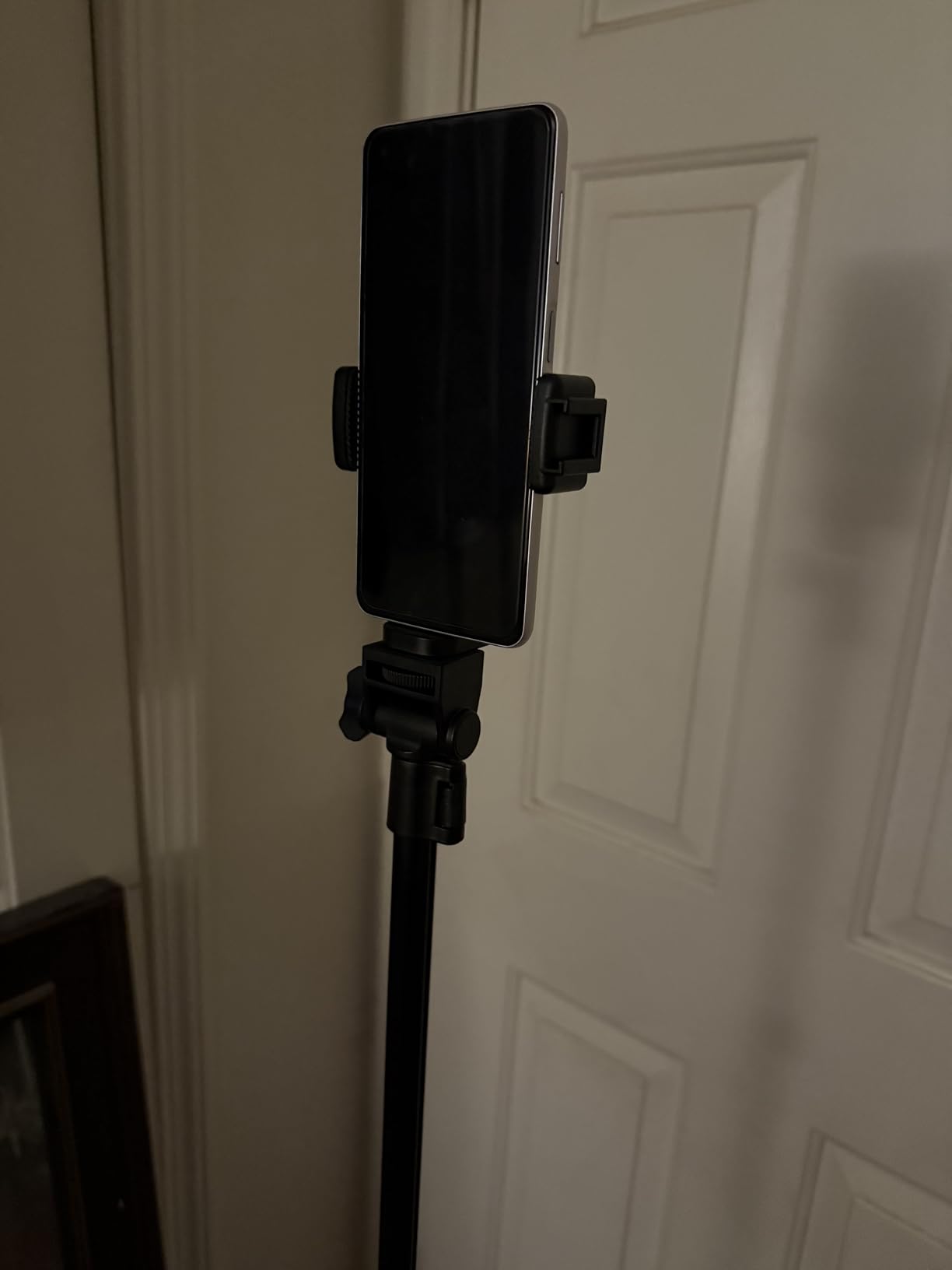 Liphisy 64” Tripod for Cell Phone & Camera with Remote and Phone Holder customer photo 1