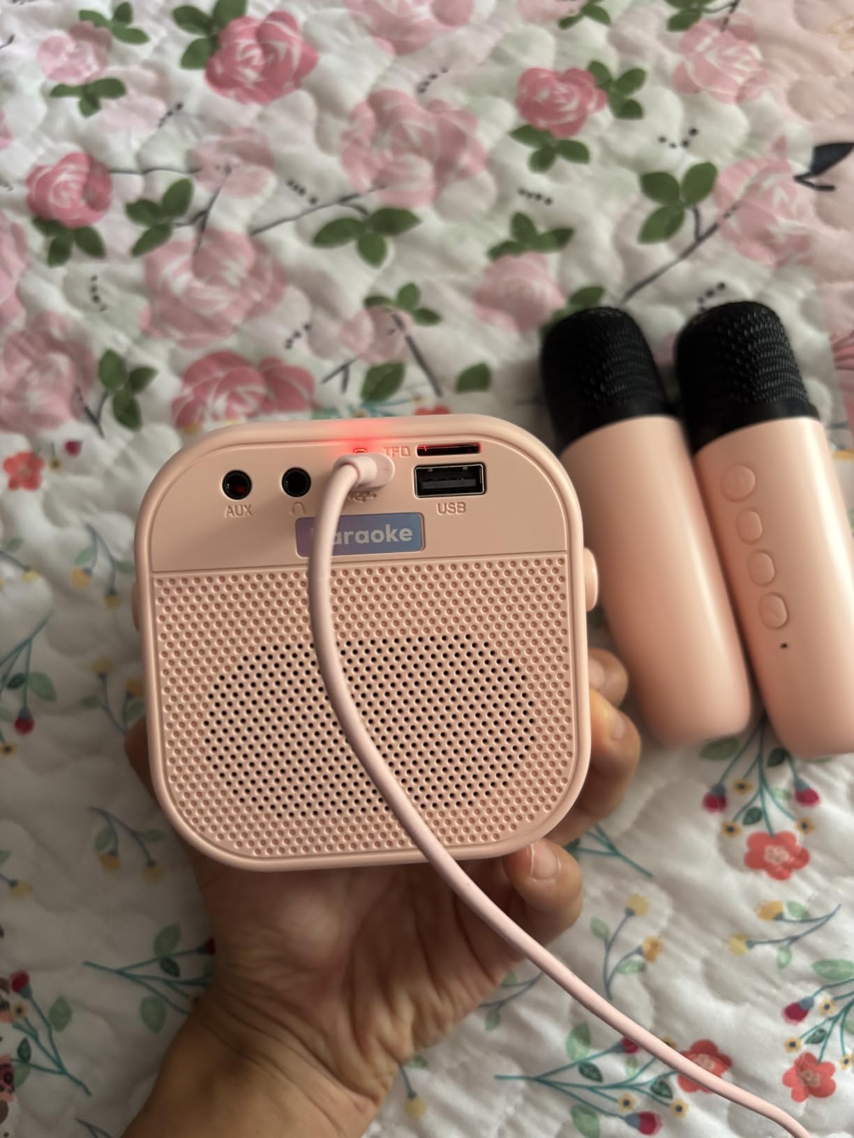 Mini Karaoke Machine,Portable Bluetooth Speaker with 2 Wireless Microphones customer photo 1