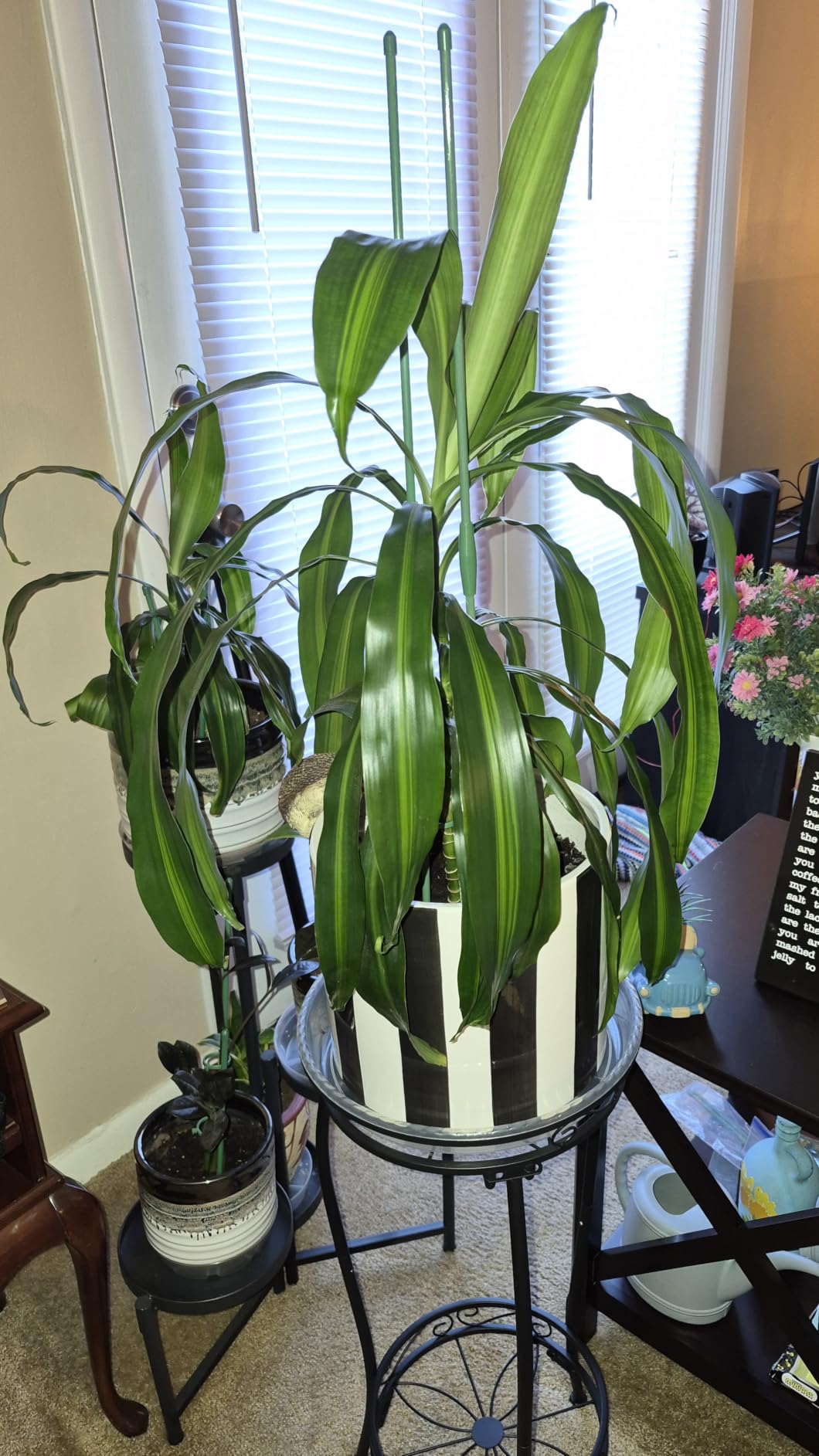 2 Pack Plant Stand Indoor Outdoor 2 Tier 27
