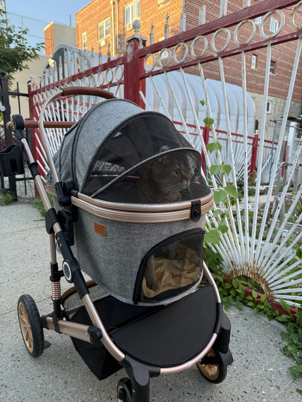Bicystar Dog Stroller with Detachable Carrier, Rubber Wheels, 50 lbs, Grey customer photo 1