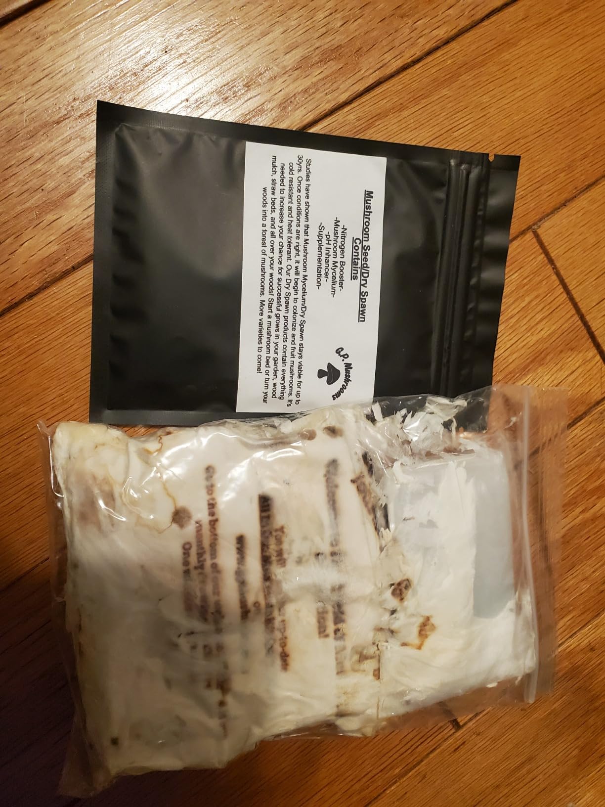 Four All in One Mushroom Grow Kits with Yellow, Blue, Florida, and Pink Oyster, Complete Cultivation Set customer photo 1