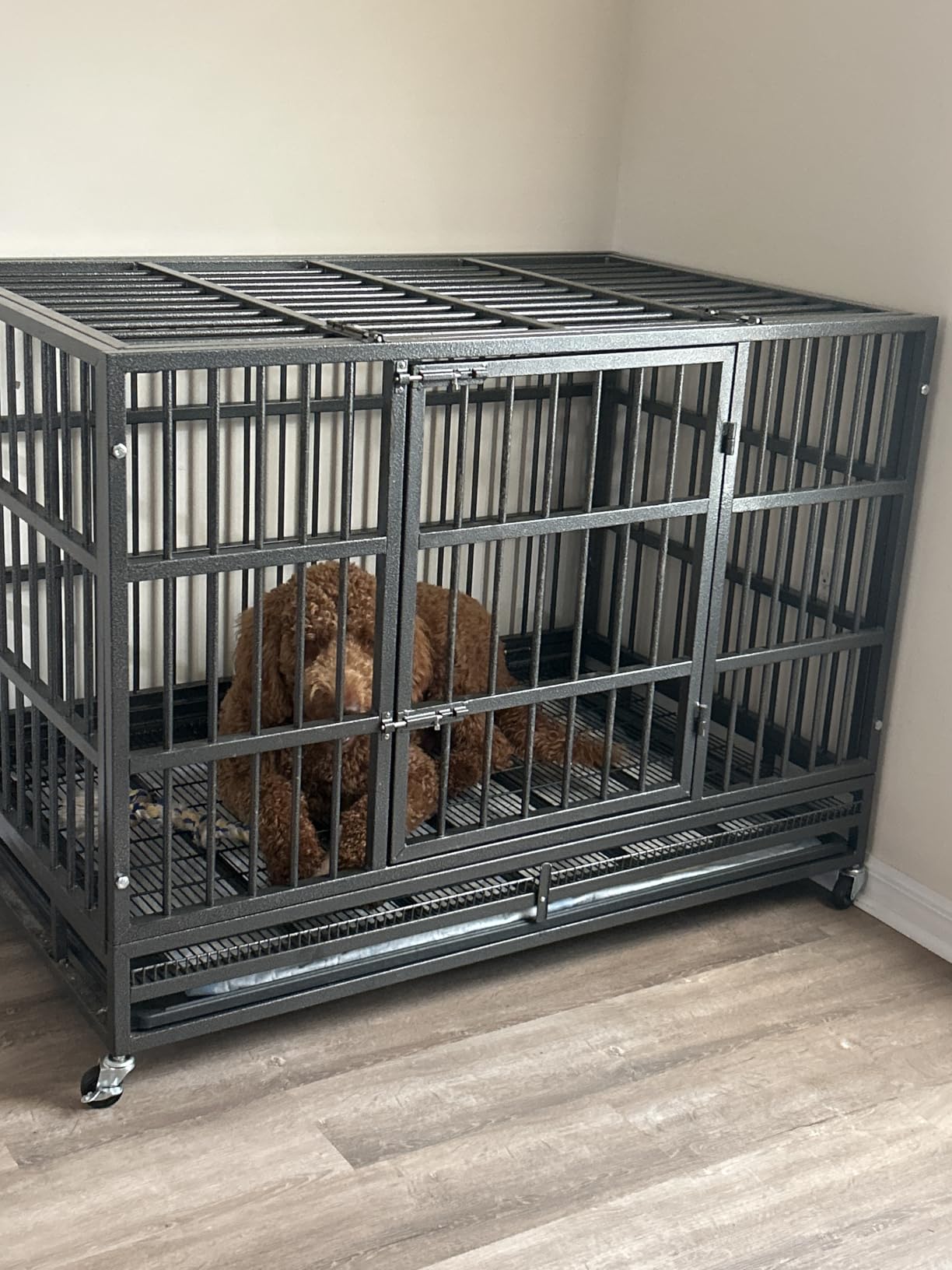 KOKOTANGS 48 Inch Heavy Duty Dog Crate Cage with Wheels, Indestructible and Escape Proof Steel Kennel Indoor for High Anxiety Dogs with Sturdy Locks, Double Door and Tray, Extra Large XL XXL, Black customer photo 2