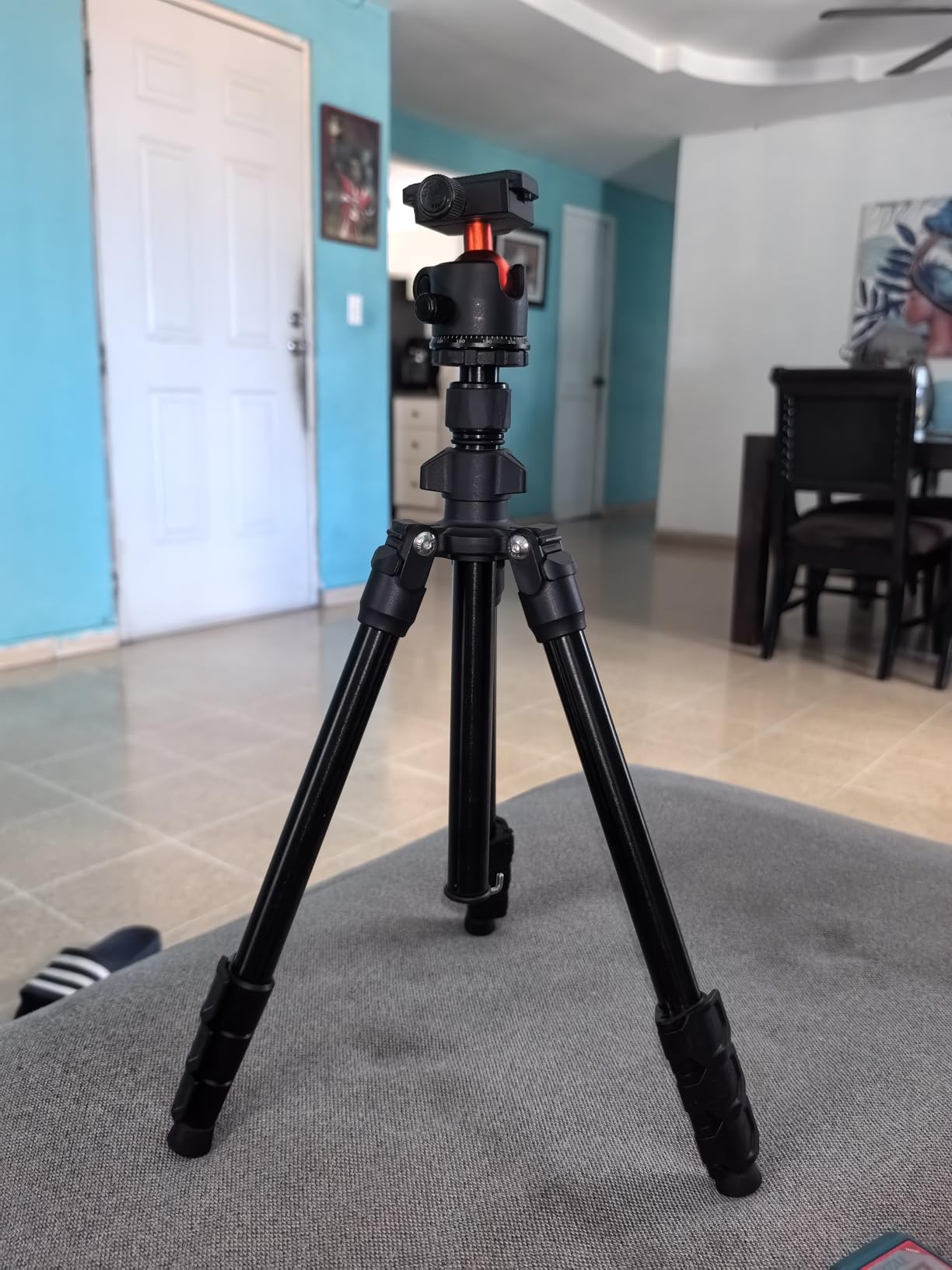 K&F Concept 76 in Overhead Camera Tripod customer photo 1