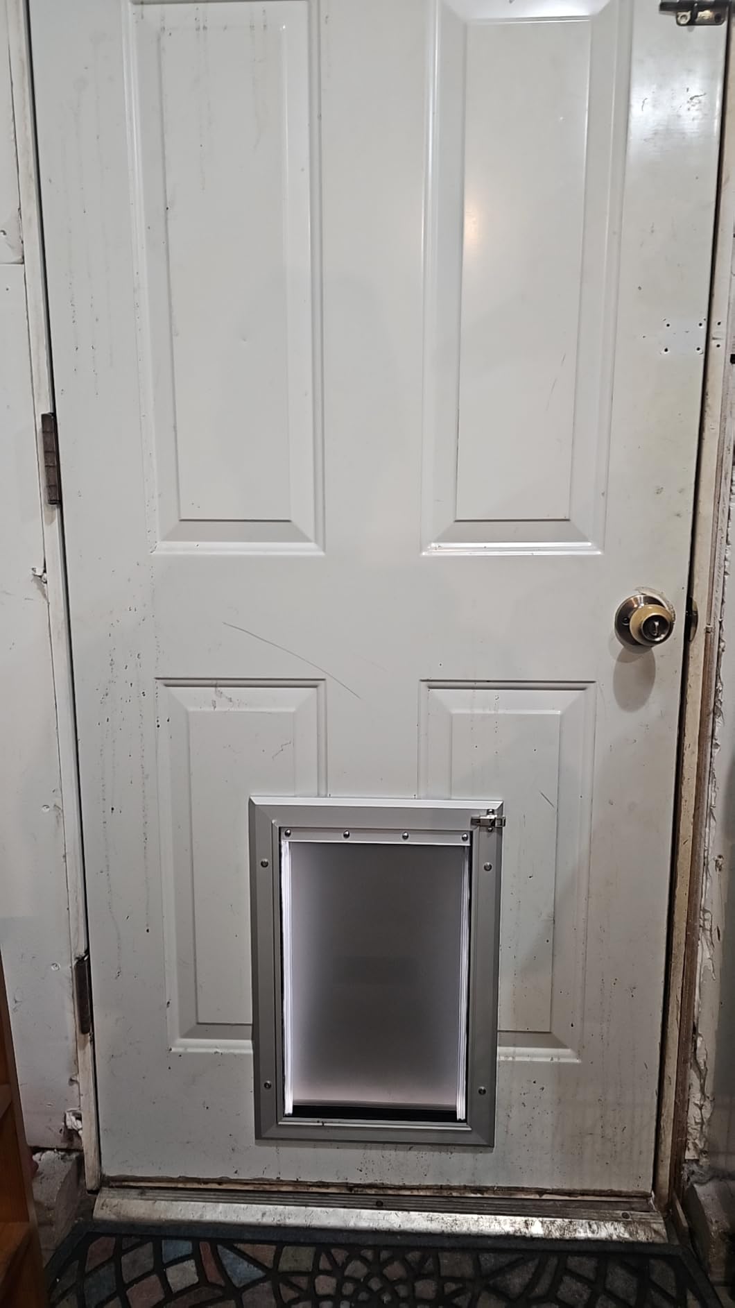 [Petoasis] 3-Flaps Heavy-Duty Dog Door, Rust Proof Aluminum Alloy Frame | Energy-Efficient,Thick Flaps Block Wind Snow Rain Intrusion in Extreme Weather (Silvery White, Large for Door) customer photo 1