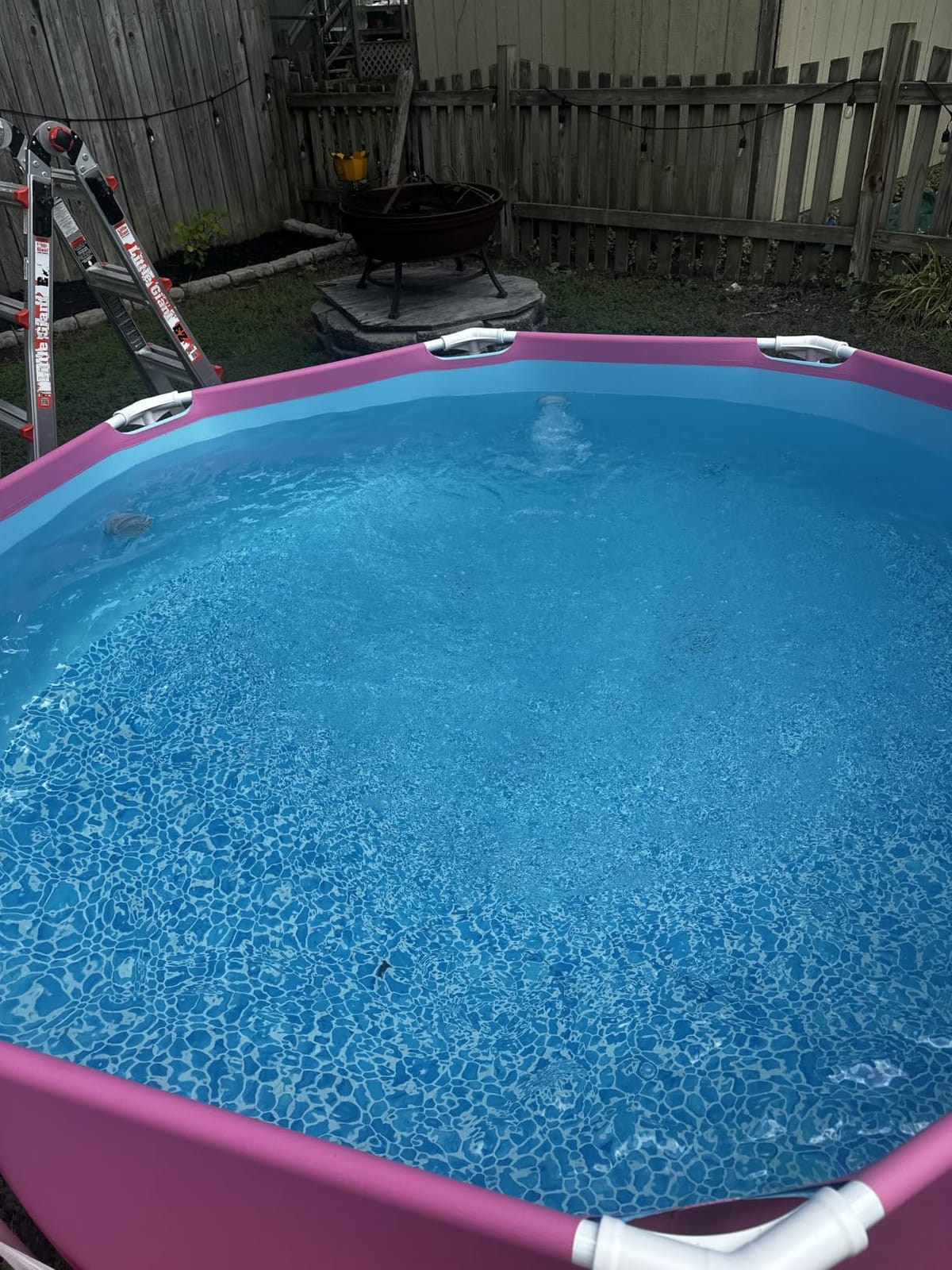 Clorox® Pool&Spa™ Shock Clear, for Crystal Clear Swimming Pool Water, Swim-ready in 15 minutes, Suitable for vinyl pools (6-Pack) customer photo 1