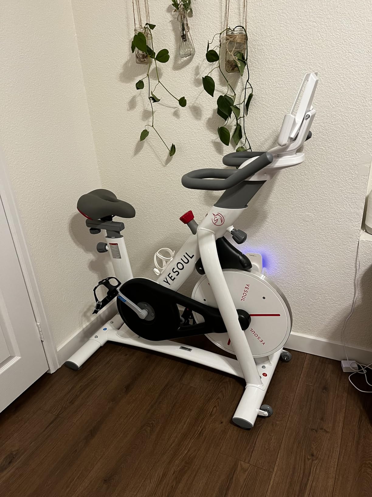 YESOUL Exercise Bike, Magnetic Stationary Bike for Home with App Training customer photo 1