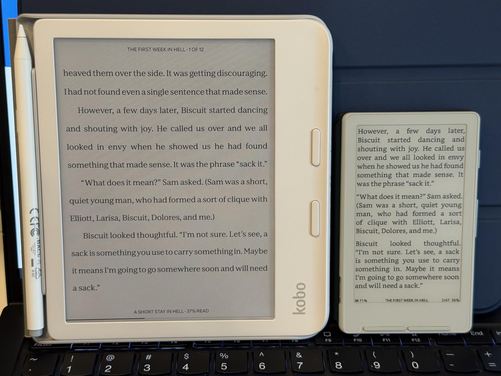 Kobo Libra Colour eReader, 7” Color E Ink, Waterproof, White | 7” Color E Ink Kaleido 3, Dark Mode, Waterproof, eBooks, Audiobooks, Recycled Materials customer photo 1