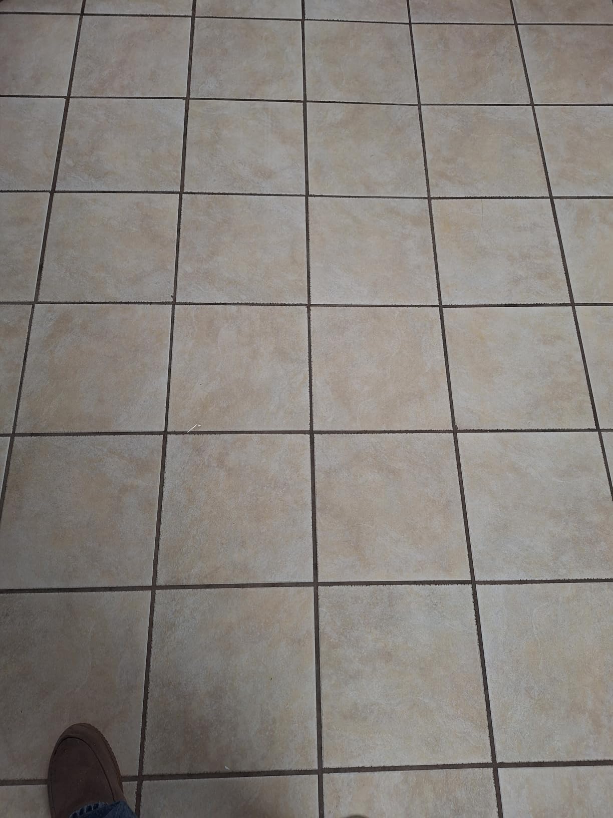 Shark Steam & Scrub with Steam Blaster Technology, White, S8201 customer photo 2