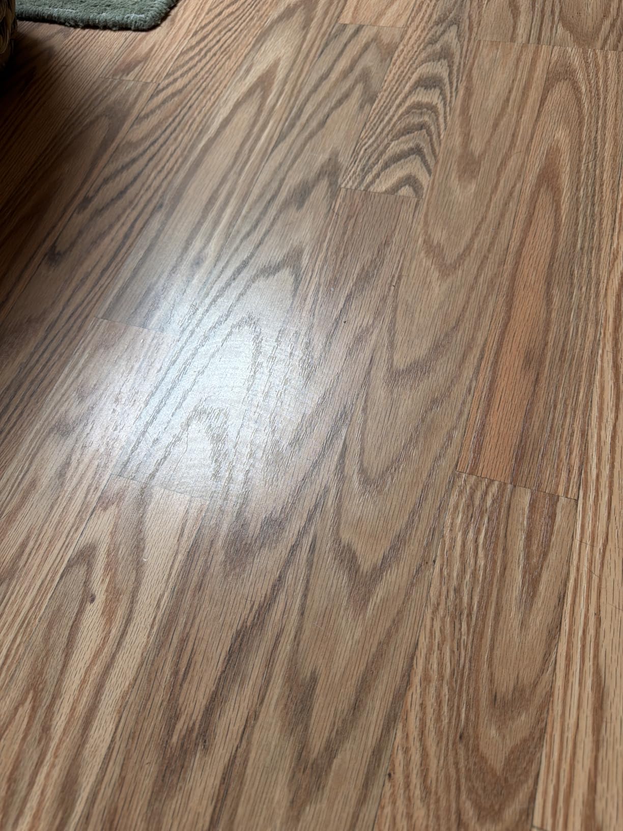 Shark Steam & Scrub Steam Mop, All-in-One Hard Floor Cleaner, Grey, S8001 customer photo 2