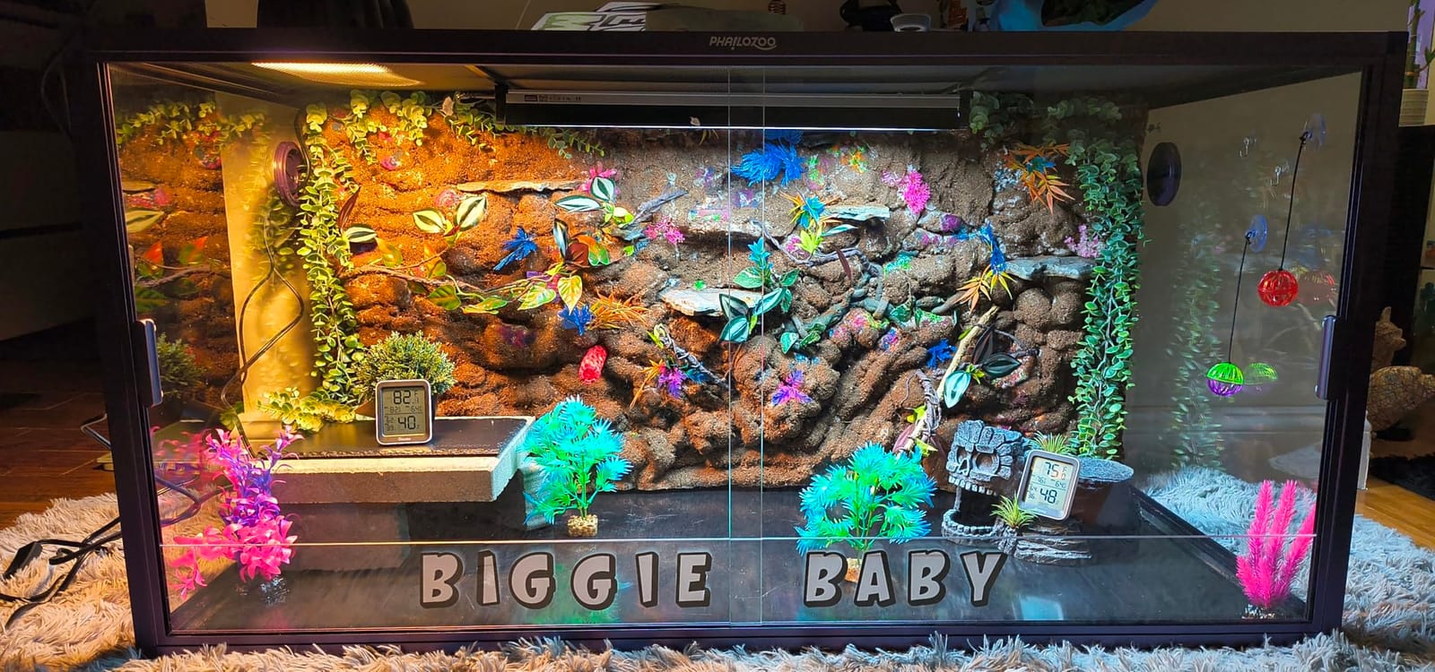 Phailozoo 50 Gallon Reptile Enclosure, Colorful Aluminum Frame Reptile Tank customer photo 1