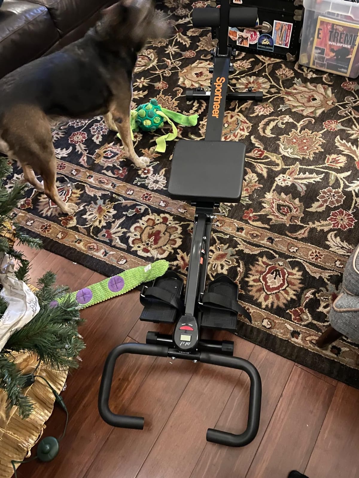 Sportneer Foldable Hydraulic Rowing Machine, 12-Level Home Gym Rower, Black customer photo 1