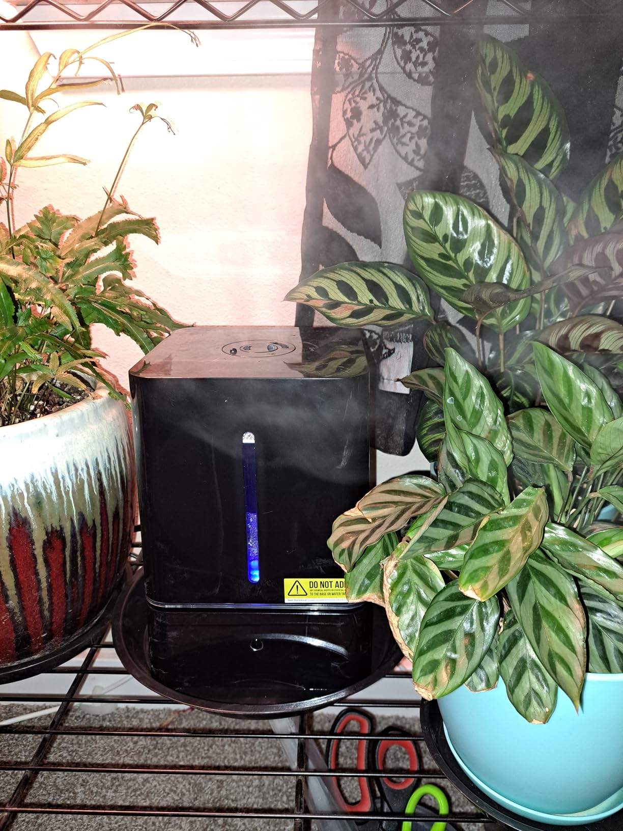 Everlasting Comfort 2.5L Kids Humidifiers for Bedroom - Easy to Clean 24HR Runtime No-Filter Quiet Kids & Baby Humidifier for Nursery, Home, Plants, Allergies, Dry Skin, Congestion, Indoor customer photo 2