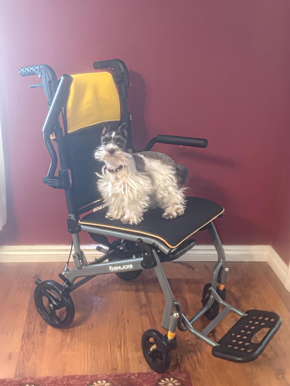 Wheelchairs for Adults Transport Chair Lightweight Foldable with Telescopic Handle,17