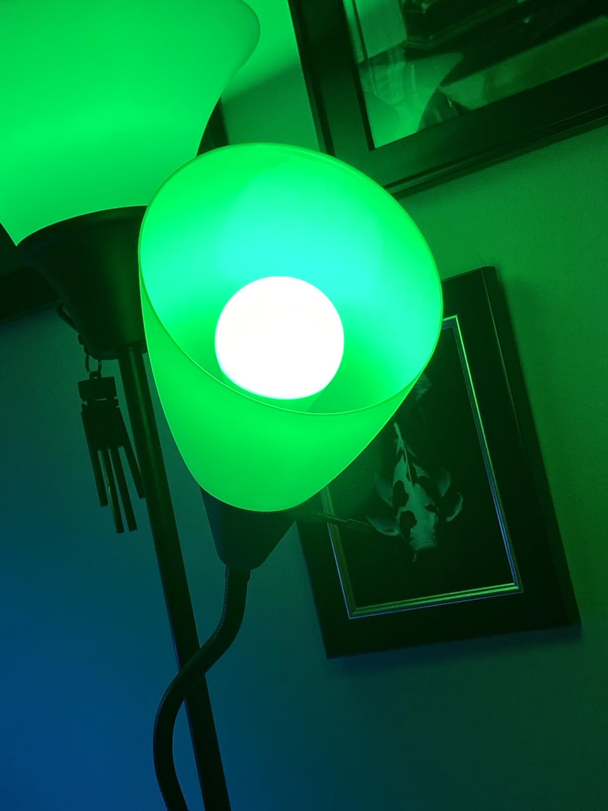 WiZ Connected LED Smart Light Bulbs, Sunset to Sunrise Automation + Motion Detection + Control with Voice or App, Full Color A19 60W 800LM E26 Indoor, Matter Compatible - 1 Pack customer photo 1