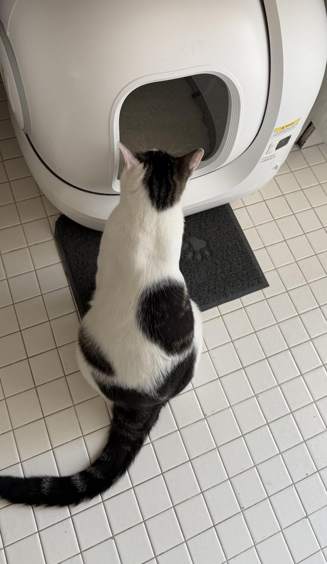 PETKIT PuraMax 2 Odor Free Automatic Cat Litter Box,with 2-Year Coverage customer photo 1