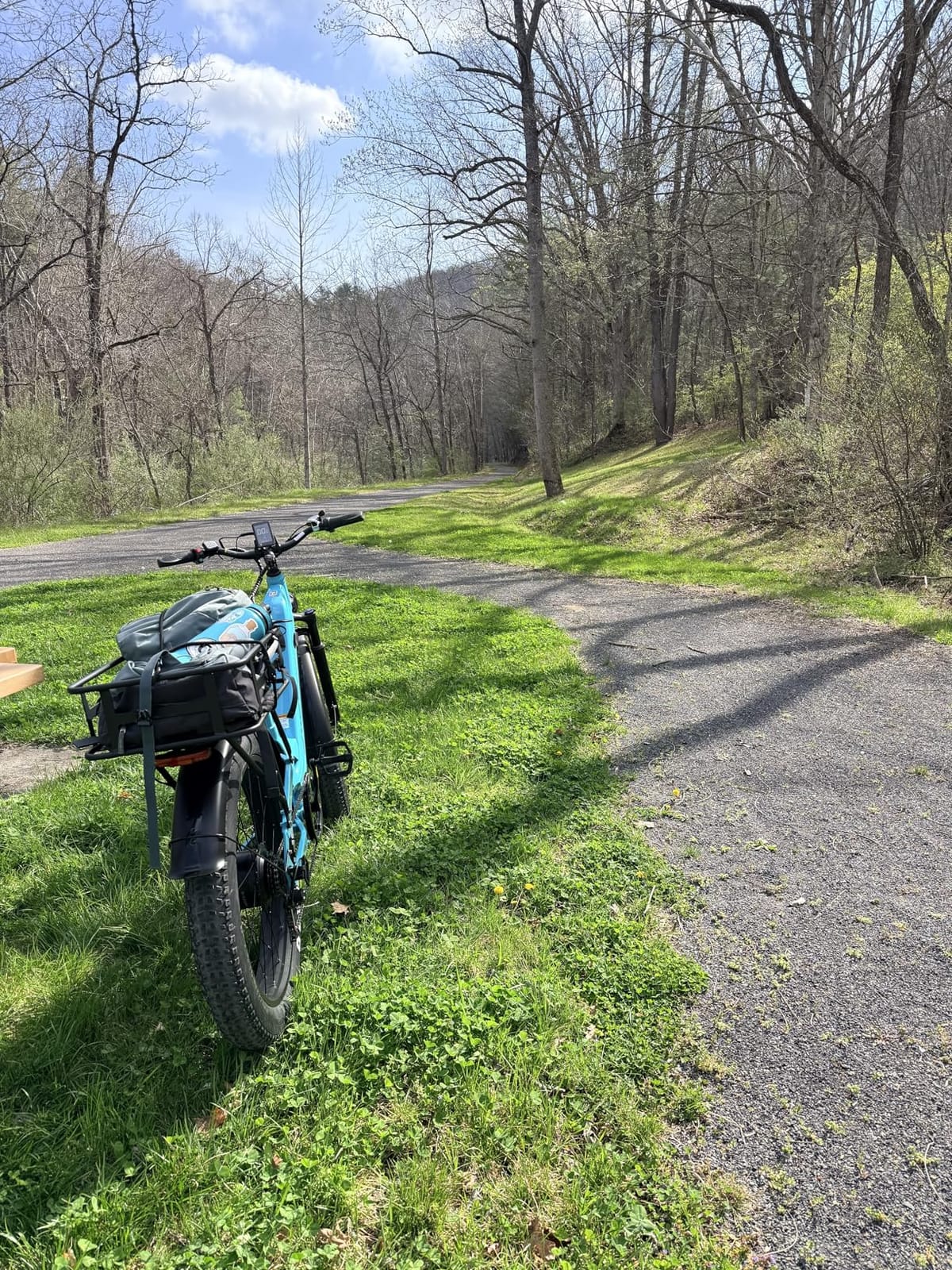 Aipas M1 Pro Electric Bike for Adults, 26 x 4 Fat Tires, 48V 17.5Ah Battery customer photo 2