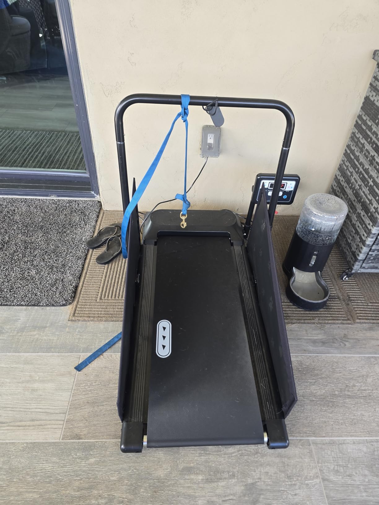 CIIHI Dog Treadmill for Medium Small Dogs - Pet Running Machine customer photo 1