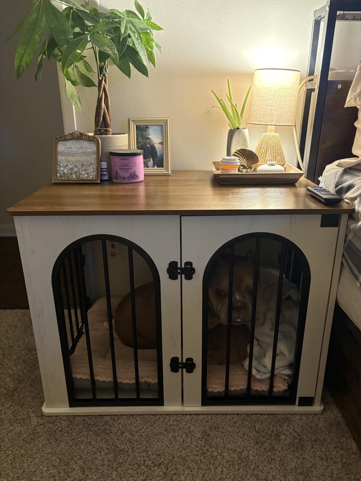 Hzuaneri 31.5'' Dog Crate Furniture,Dog Kennel Indoor for Small/Medium Dogs | Dog Kennel Furniture Wooden Dog Cage Heavy Duty Dog Crate Decorative Pet House End Side Table TV Stand,White Brown DFC85114B customer photo 1