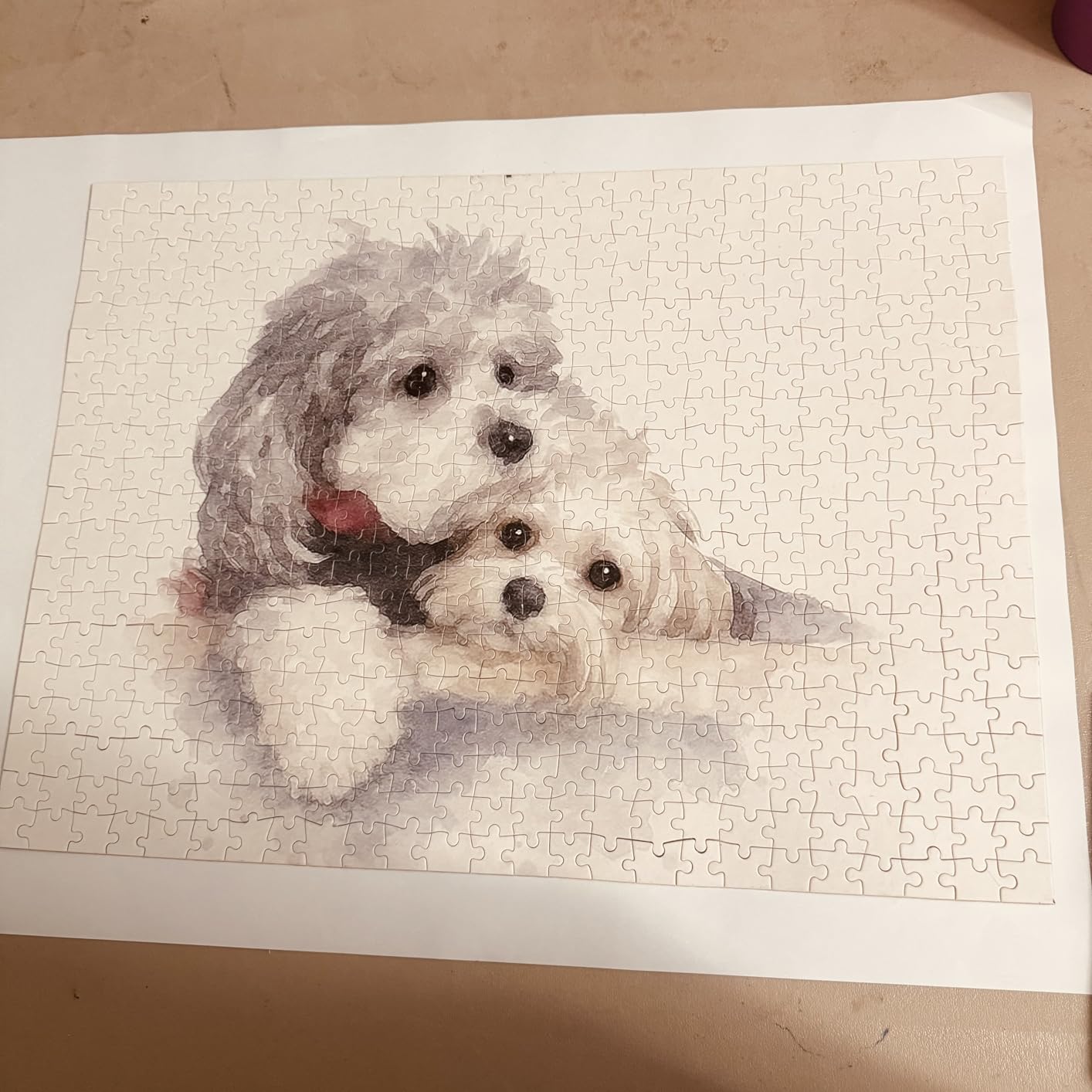 Clear Jigsaw Puzzle Glue with Applicators, Quick-Dry, 200mL customer photo 1