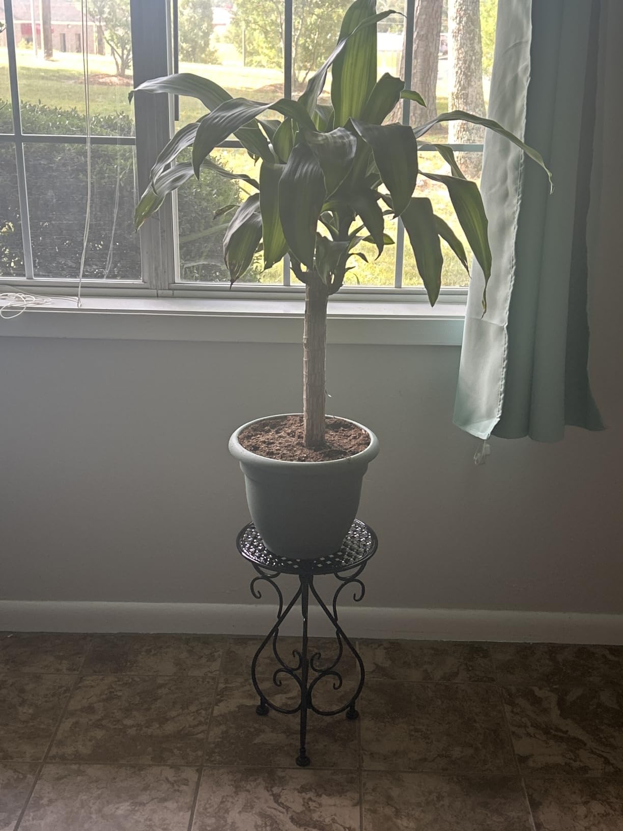 NAKUPE 4-Pack Metal Plant Stand for Indoor Outdoor, Heavy Duty Flower Pot Stands for Multiple Plants, Rustproof Iron Planter Holder Display Shelf for Patio Home Garden Porch Balcony(Black) customer photo 2