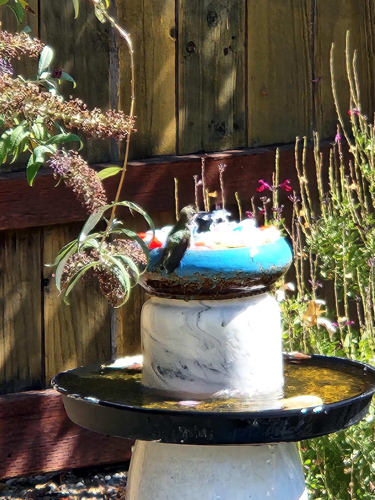 POPOSOAP 6.5W Solar Fountain Pump for Bird Bath Built-in 3000mAh Battery Backup, DIY Solar Water Fountain with Double-Layer Nozzles & Dry-Run Protection 5Ft Tubing for Ponds, Bird Bath, Water Features customer photo 2