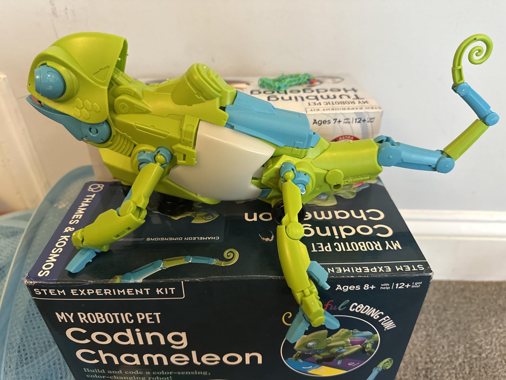 Thames & Kosmos My Robotic Pet: Coding Chameleon STEM Building & Experiment Kit | Color-Sensing Coding Robot for Boys & Girls Ages 8+, Screen-Free Educational Fun, Robotic Reptile with 3 Play Modes customer photo 2