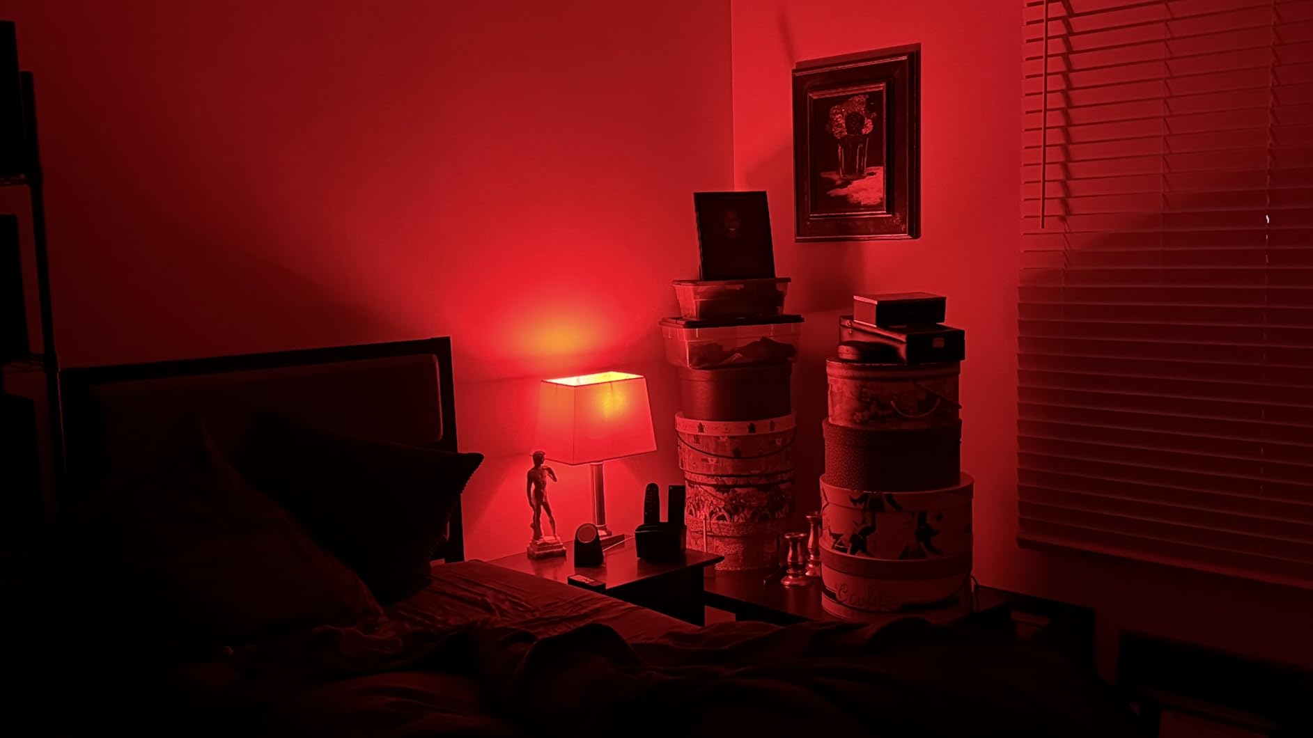 Tapo Multicolor Dimmable Smart Light Bulbs, L535E(4-Pack), A19 E26, 1100LM customer photo 2