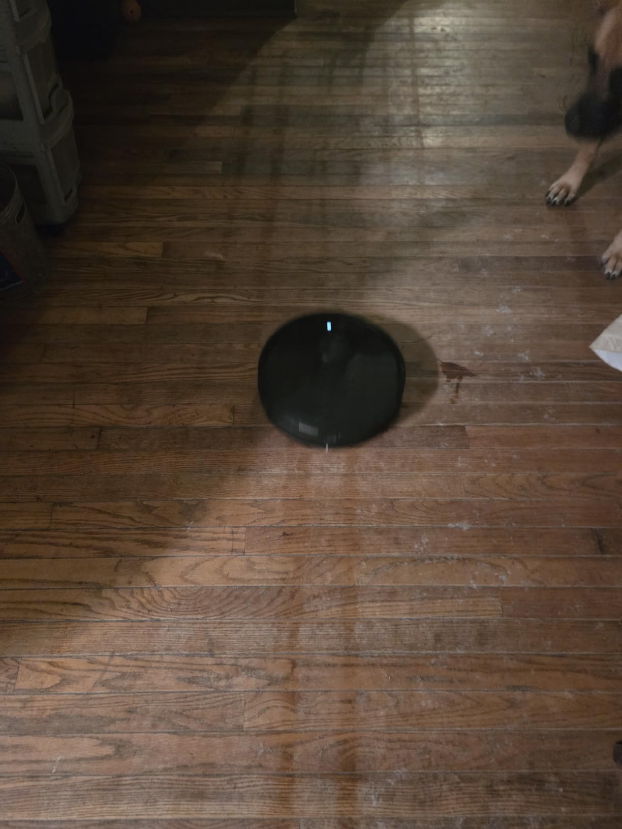 roborock Q7 M5 Robot Vacuum and Mop Combo, 10,000Pa HyperForce Suction customer photo 1