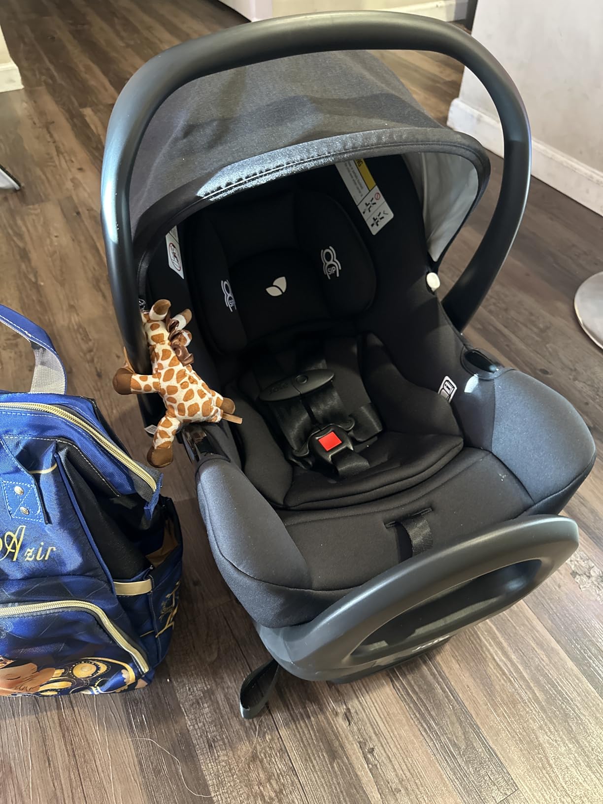 Joie Baby Rue Infant Car Seat & Anti-Rebound Base, Lightweight customer photo 2