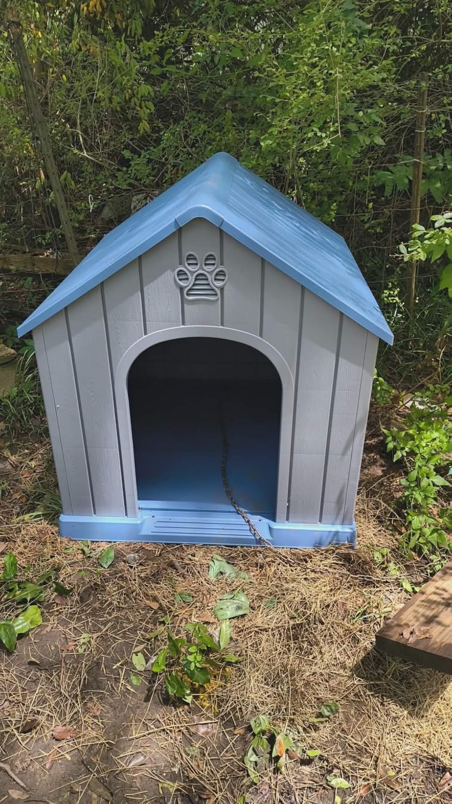 DRATO Large Dog House Indoor Outdoor, Blue, 38.62×36.26×38.07 in customer photo 1