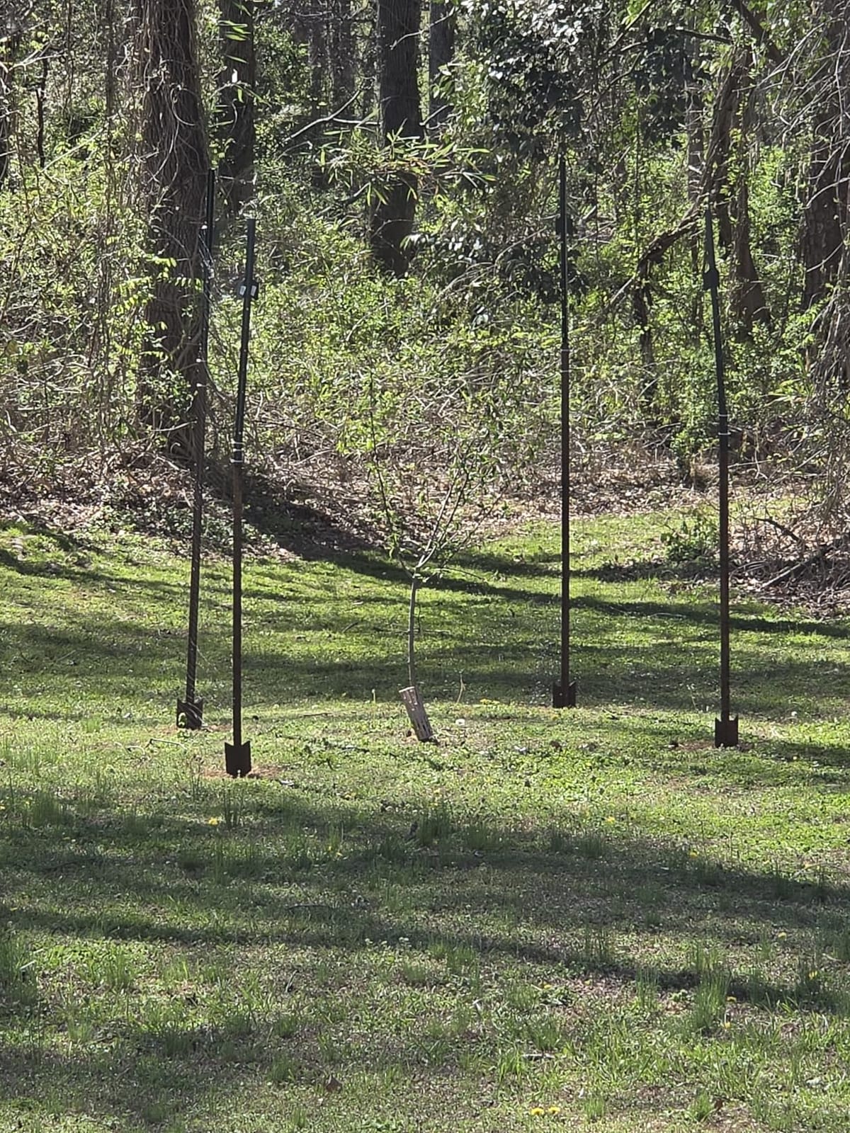 FEED GARDEN Deer Fence Netting Garden Netting Bird Netting - 7x100ft UV-Protected Garden Fence for Plant with 3/4