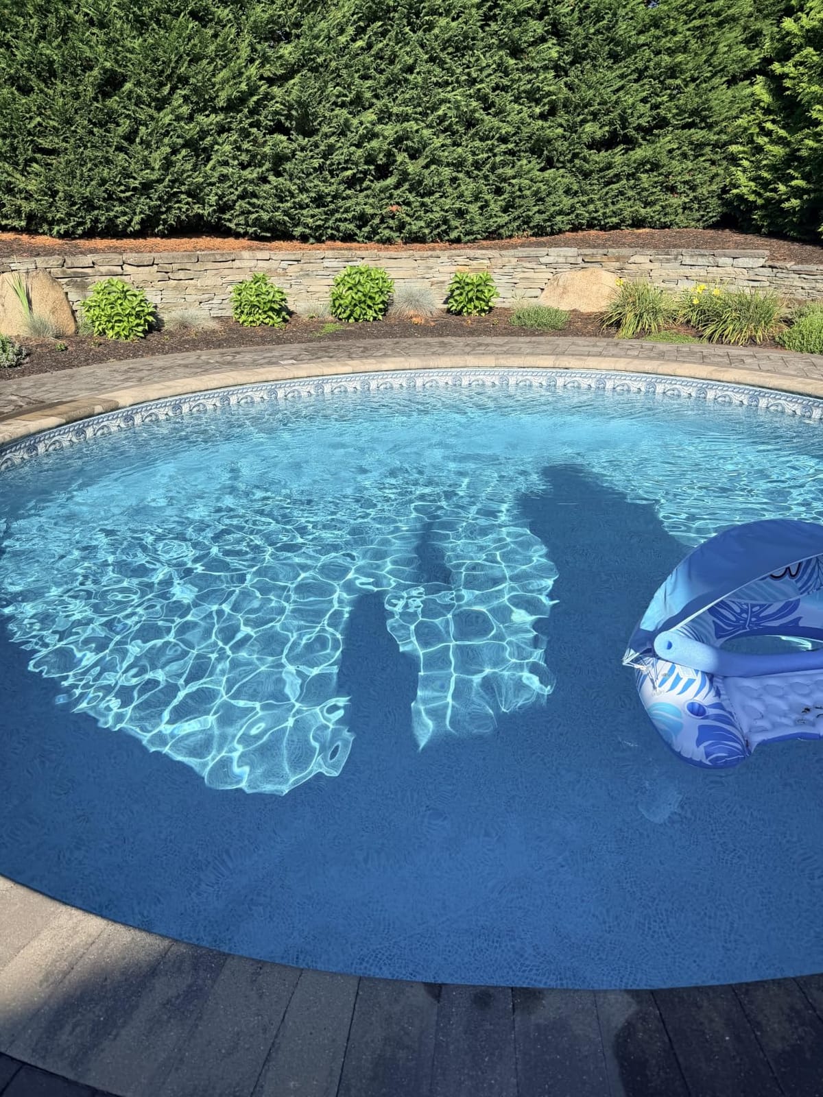 (2026 Upgraded) Cordless Pool Vacuum with Telescopic Pole customer photo 1