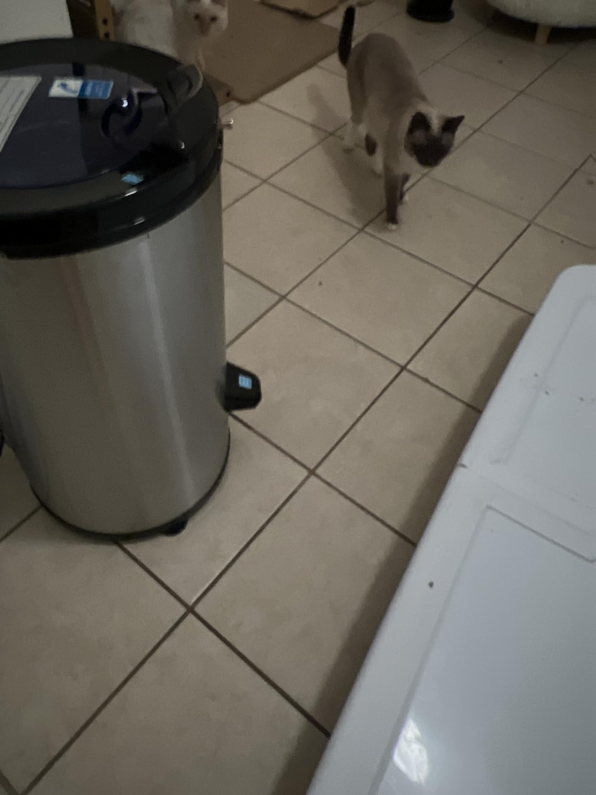 Panda 3200 RPM Portable Spin Dryer,22lb Capacity, Dark Gray customer photo 2