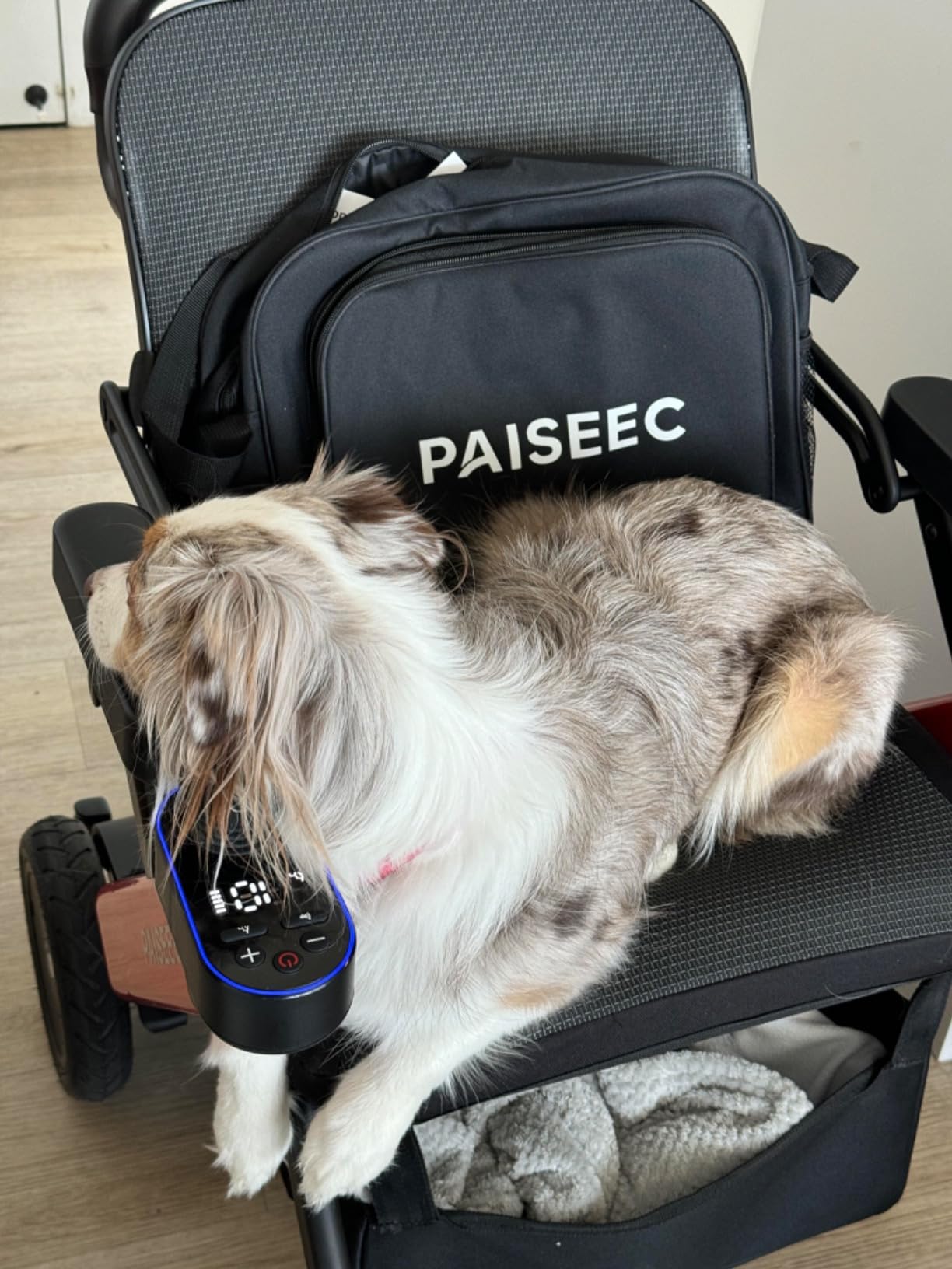 Paiseec W3 3-in-1 Electric Wheelchair for Adults with Push-Assist customer photo 1