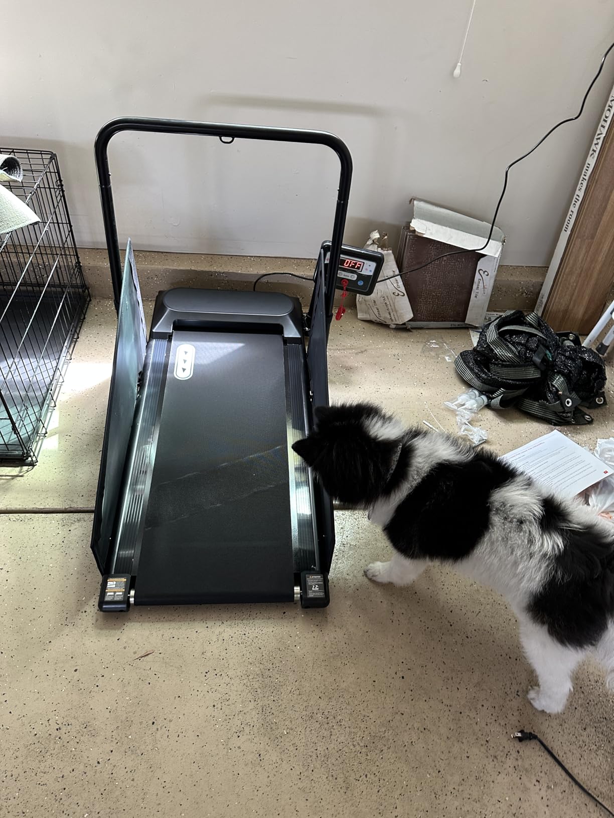 Petbobi Dog Treadmill for Small & Medium Dogs Quiet Motor Indoor Exercise customer photo 2