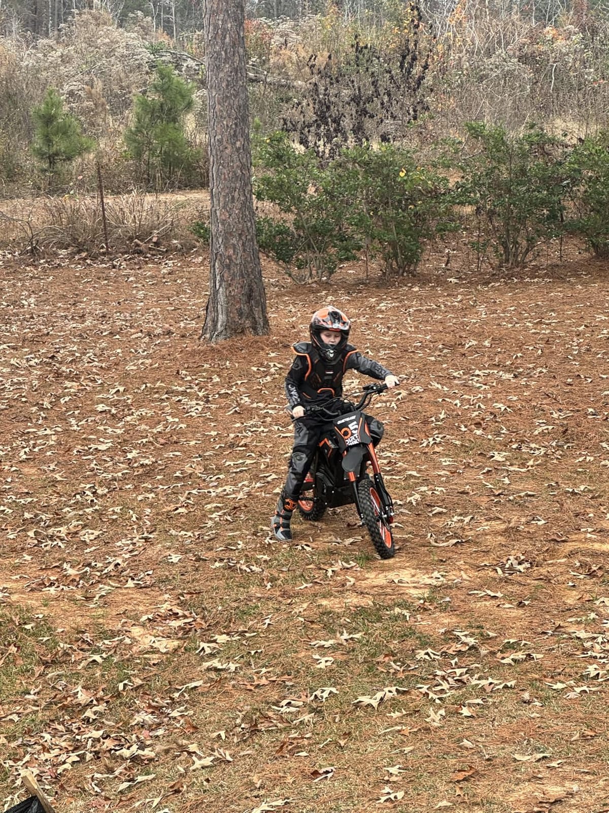 QuietEase Electric Dirt Bike for Adults Teens, 3000W Brushless 220Nm Motor - 45° Slope, 38 MPH, 48V/23.4Ah Removable Battery, Dual Hydraulic Brakes & Full Suspension Electric Motorcycle for Age 13+ customer photo 2