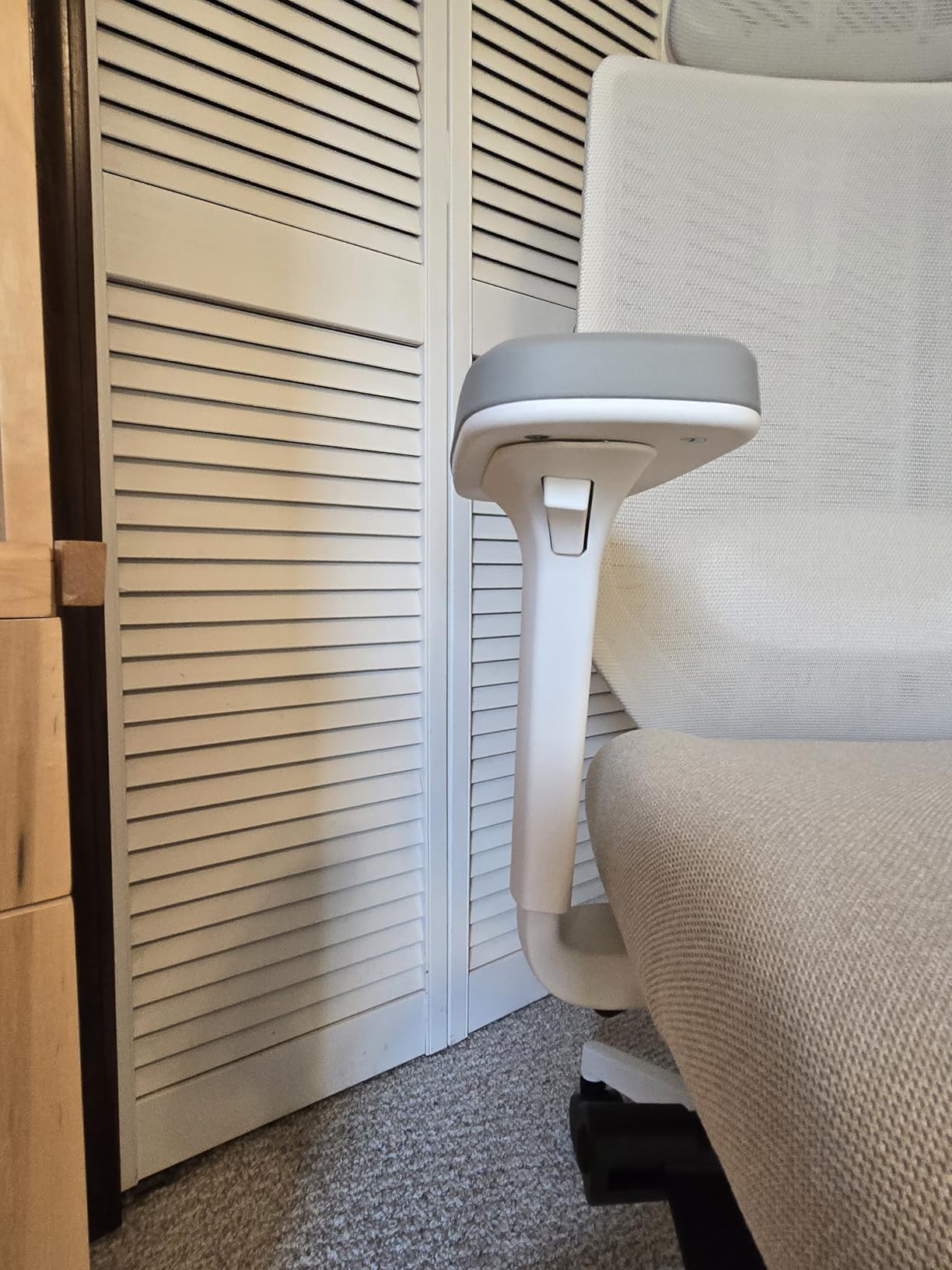 Branch Ergonomic Chair Pro, Mesh Office Chair with 14 Points of Adjustment customer photo 1