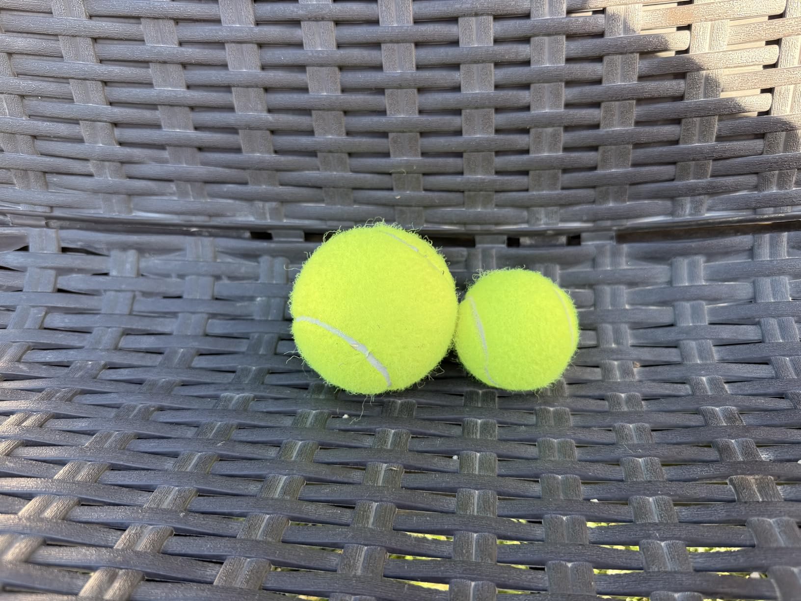 Automatic Ball Launcher for Dogs: Indoor Thrower Fetch Machine,Blue customer photo 2