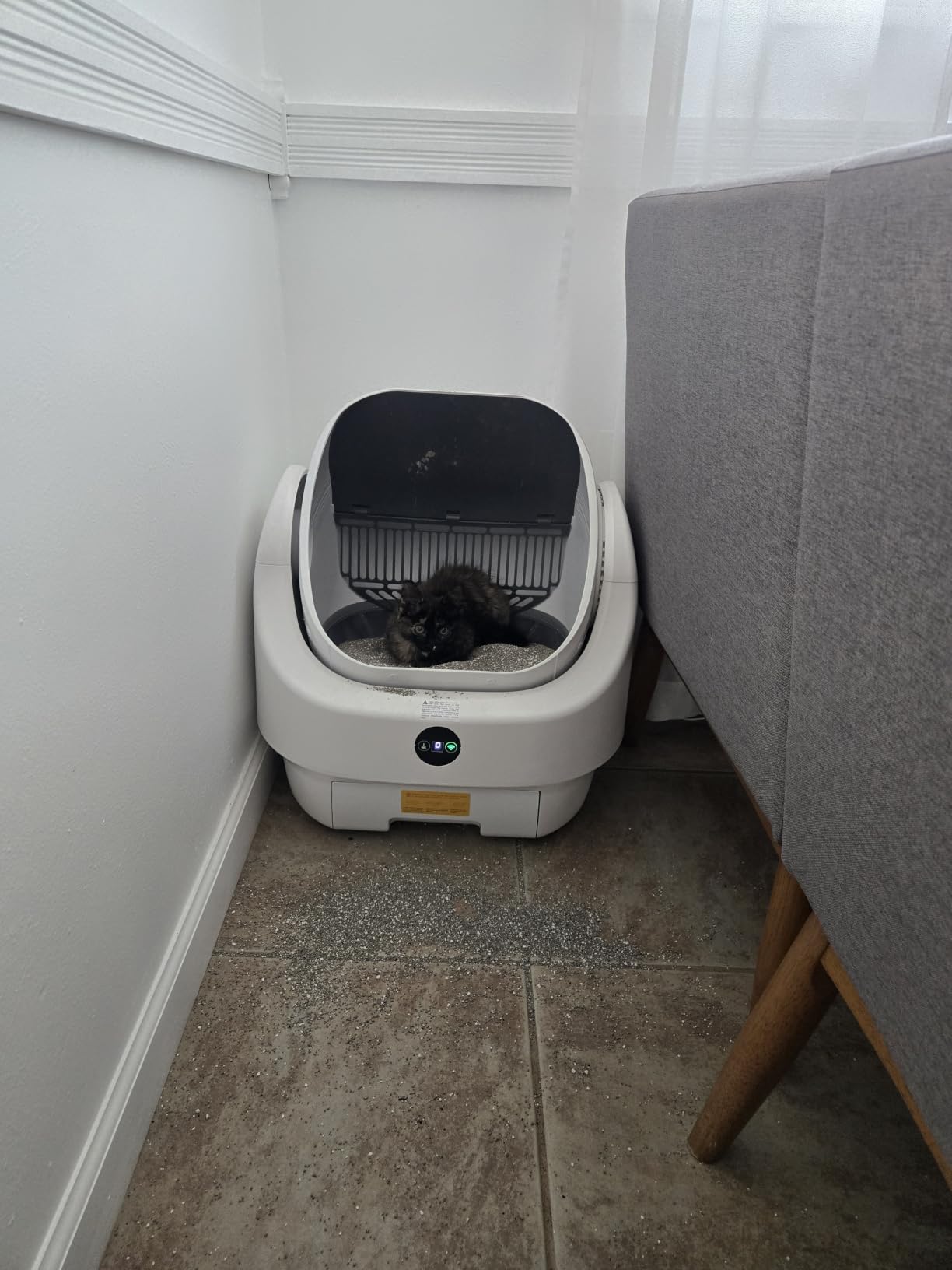 Open-Top Automatic Litter Box, Odor Control, Ready to Use, Self Cleaning customer photo 2
