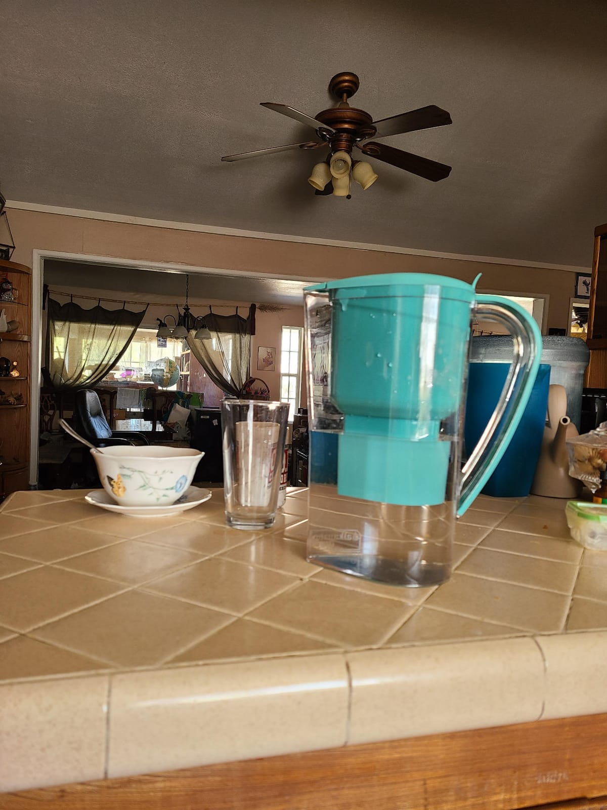 Alkanatur Alkaline Hydrogen Water Filter Pitcher - Removes Fluoride, Chlorine, Microplastics, PFAs, Lead - Activated Coconut Carbon, Ionizer, pH 9.5, Adds Magnesium customer photo 1