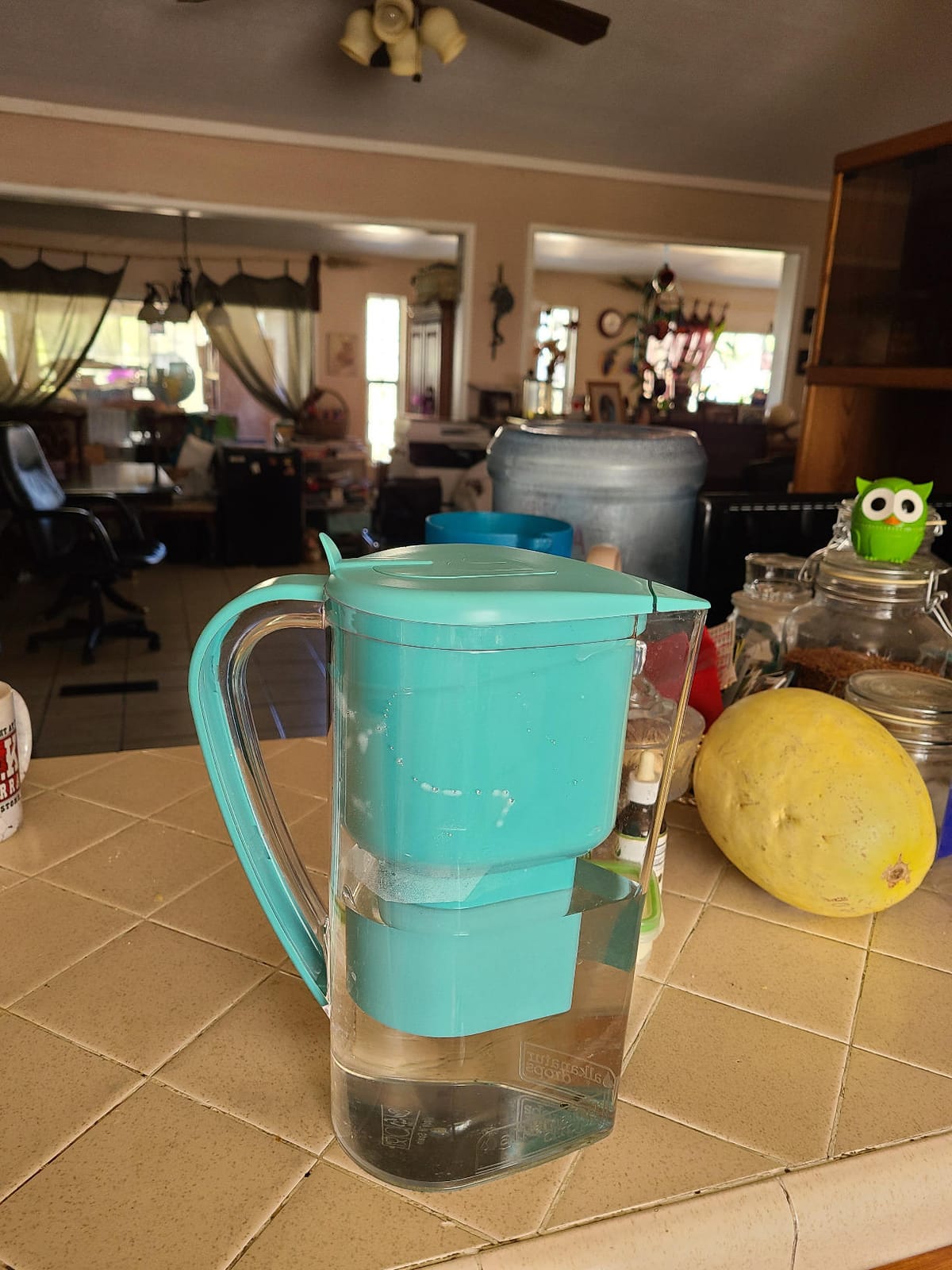 Alkanatur Alkaline Hydrogen Water Filter Pitcher - Removes Fluoride, Chlorine, Microplastics, PFAs, Lead - Activated Coconut Carbon, Ionizer, pH 9.5, Adds Magnesium customer photo 2