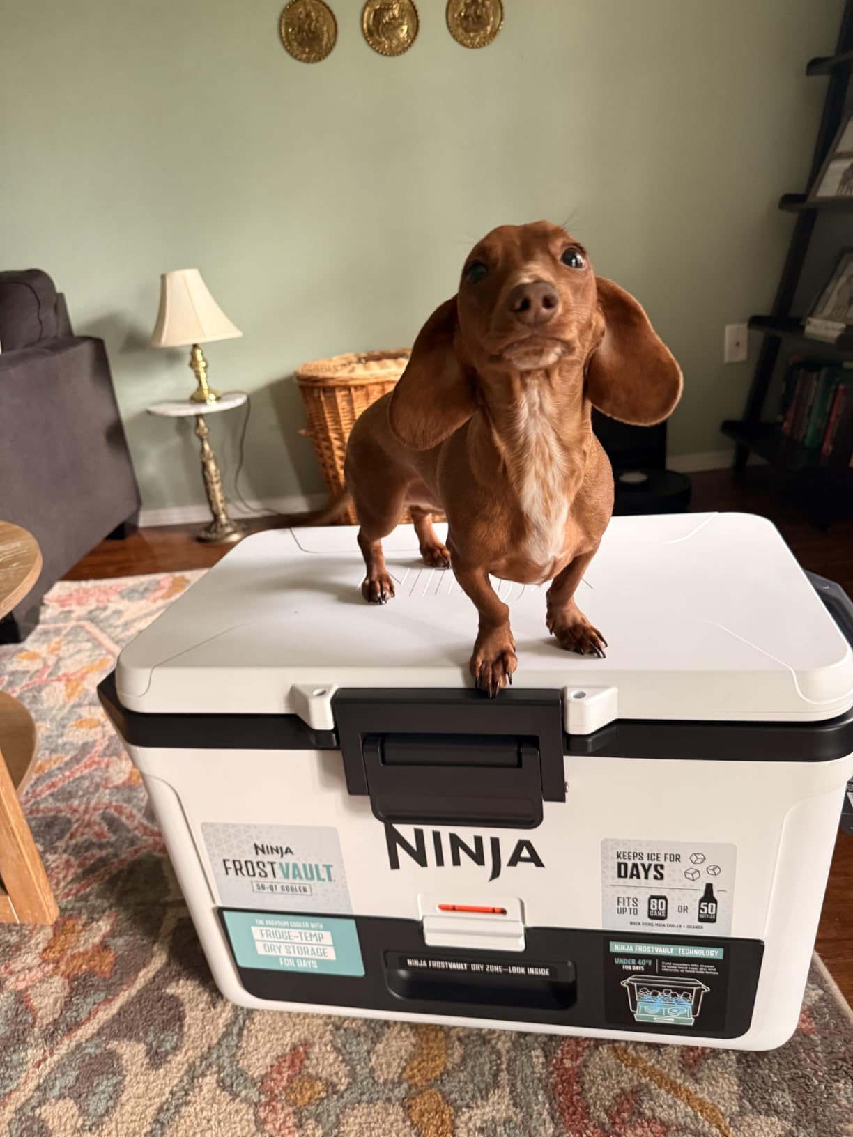 Ninja FrostVault™ 50qt Hard Cooler with Dry Storage Drawer, Spanish Moss customer photo 2