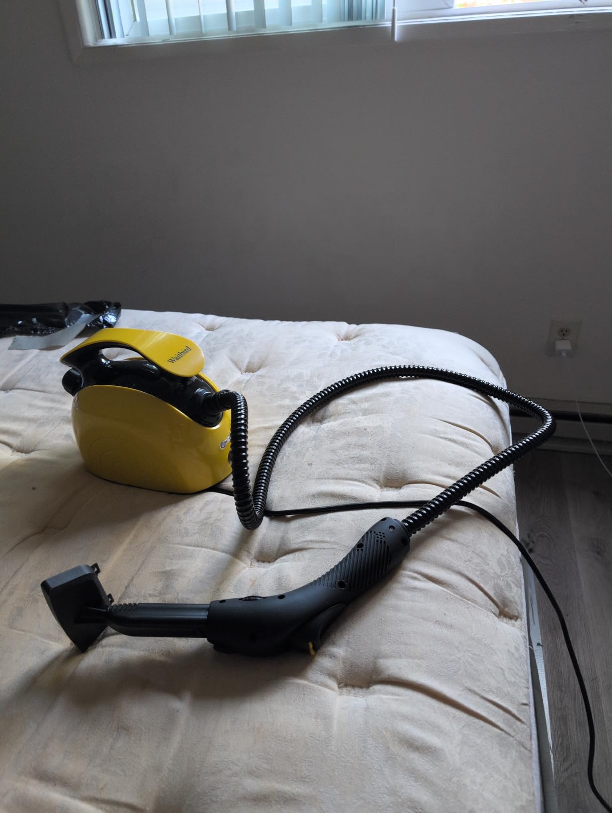 Waitbird Multi-Purpose Steam Cleaner, 4.5Bar 300°F Steamer for Tile & Grout customer photo 1