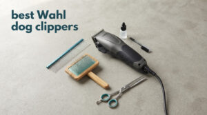 best Wahl dog clippers