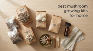 best mushroom growing kits for home