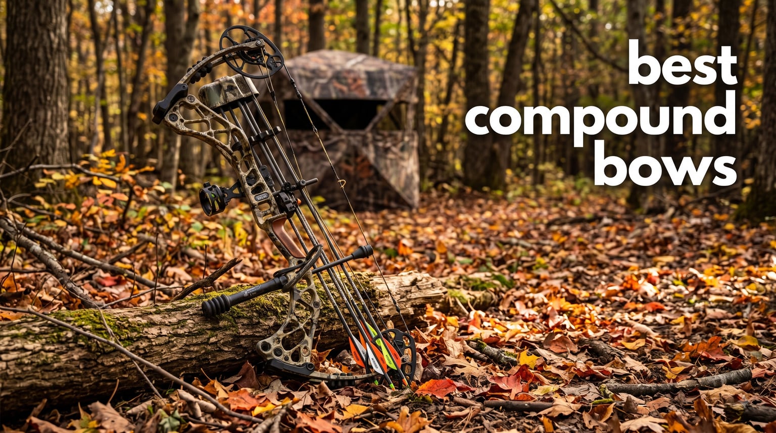 best compound bows