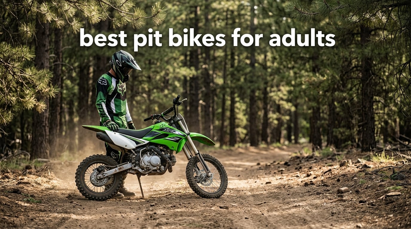 best pit bikes for adults