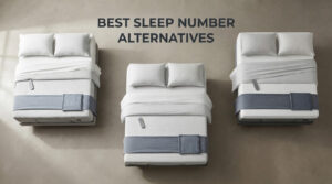 best Sleep Number alternatives